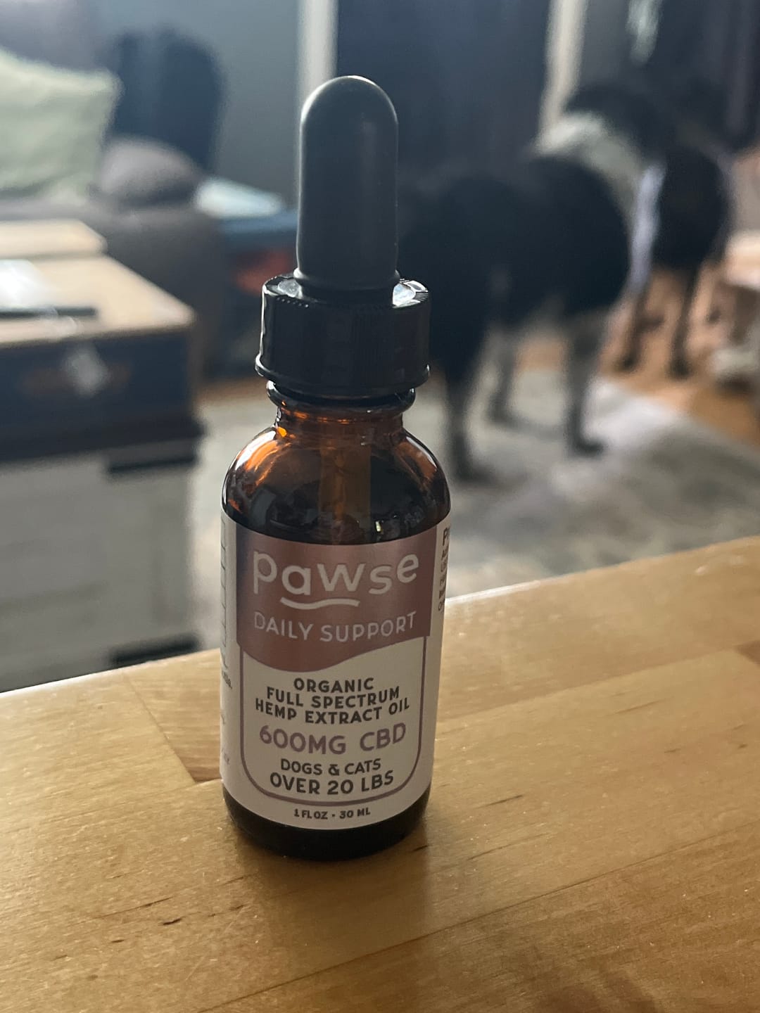 Customer photo review of Daily Support CBD Oil for Pets Over 20lbs