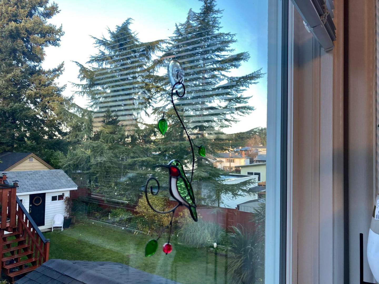 Customer photo review of Green Ruby-throated Hummingbird window hanging