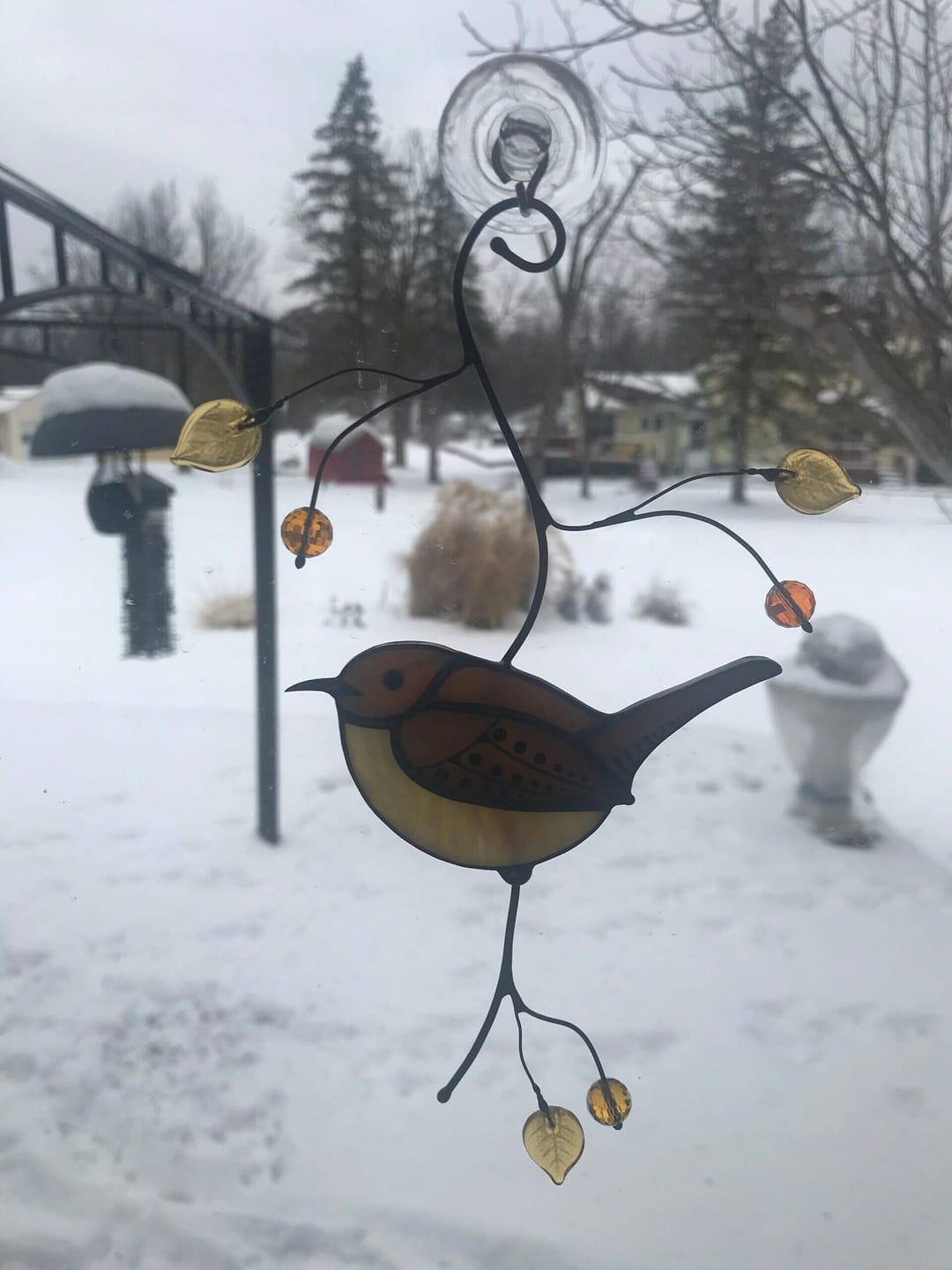 Customer photo review of Carolina Wren