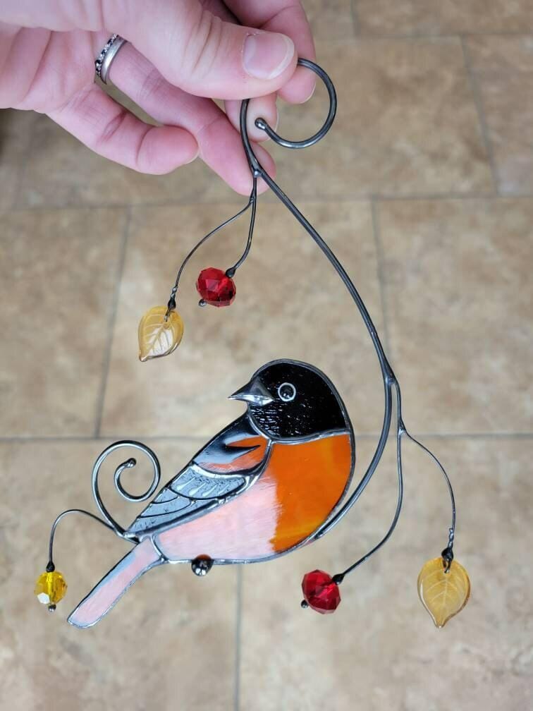 Customer photo review of Baltimore Oriole Bird