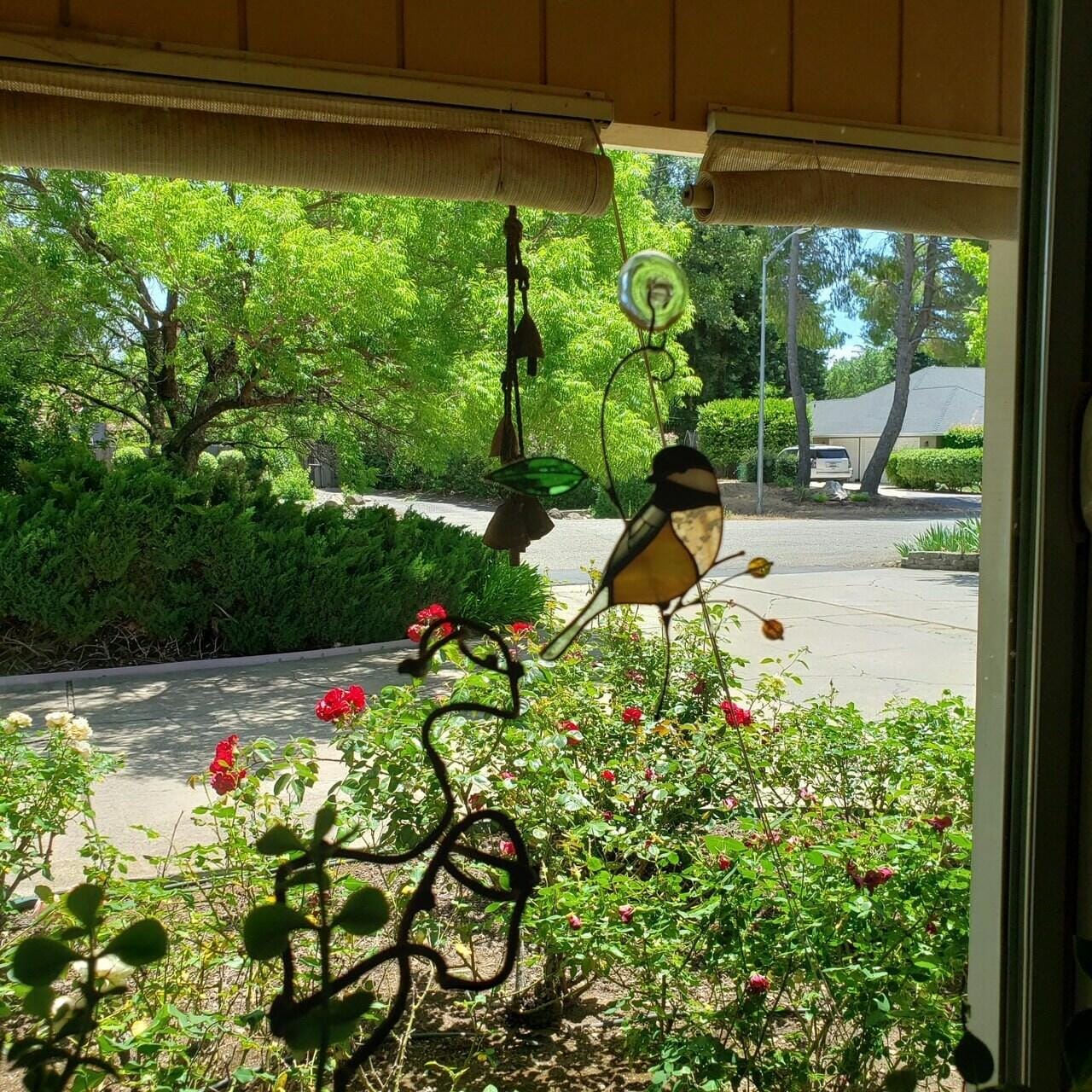 Customer photo review of Chickadee with Berries