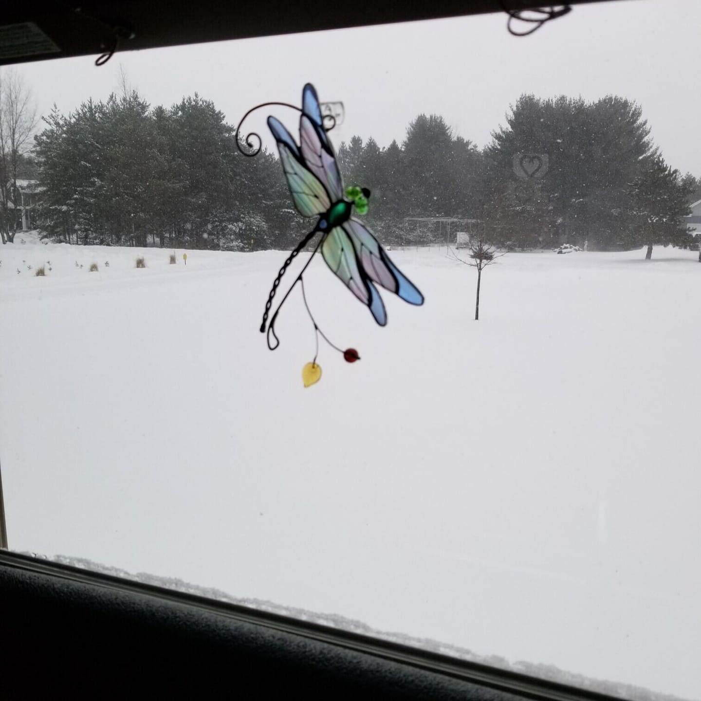 Customer photo review of Stained glass Blue Dragonfly