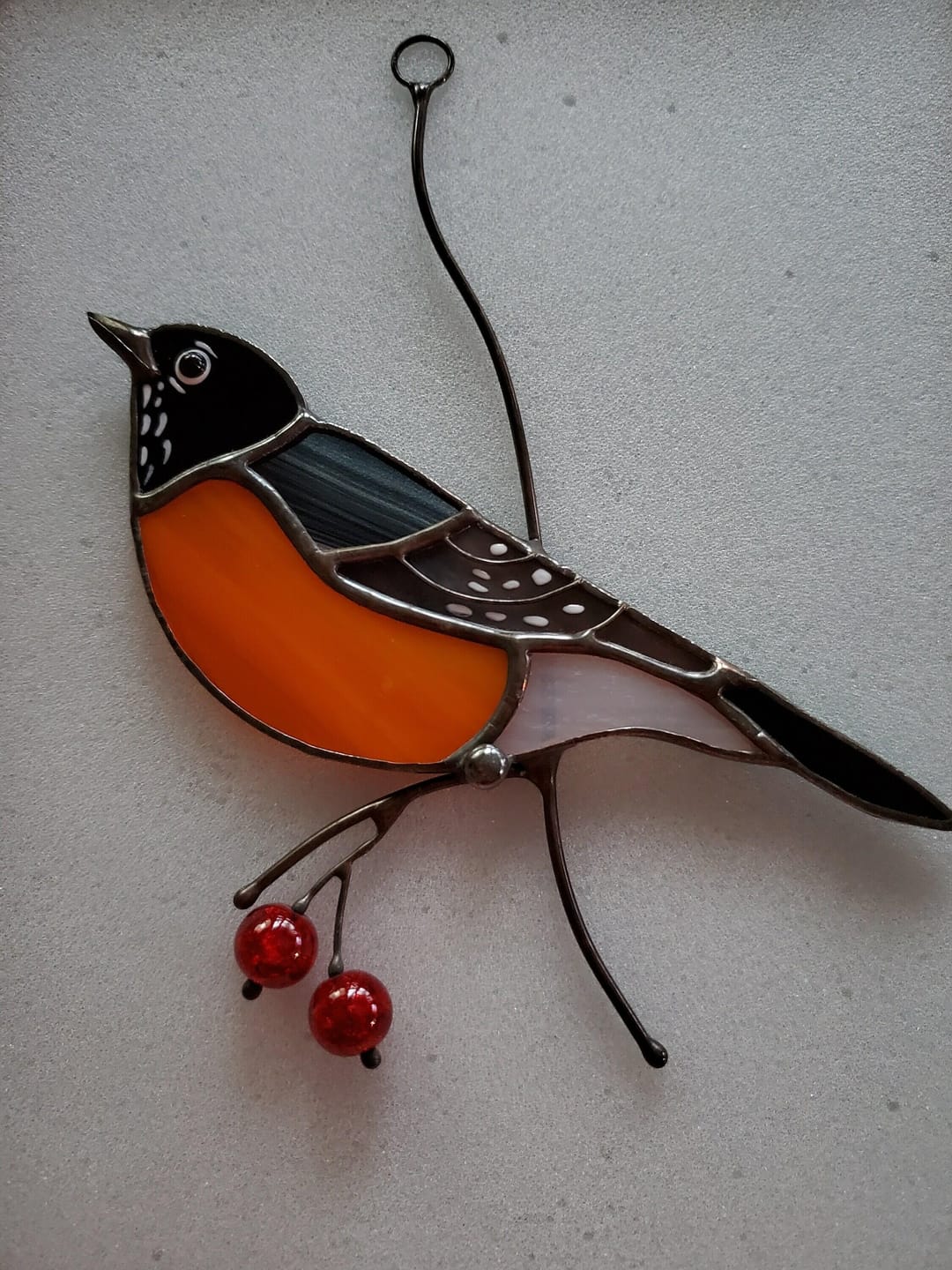 Customer photo review of American Robin Bird