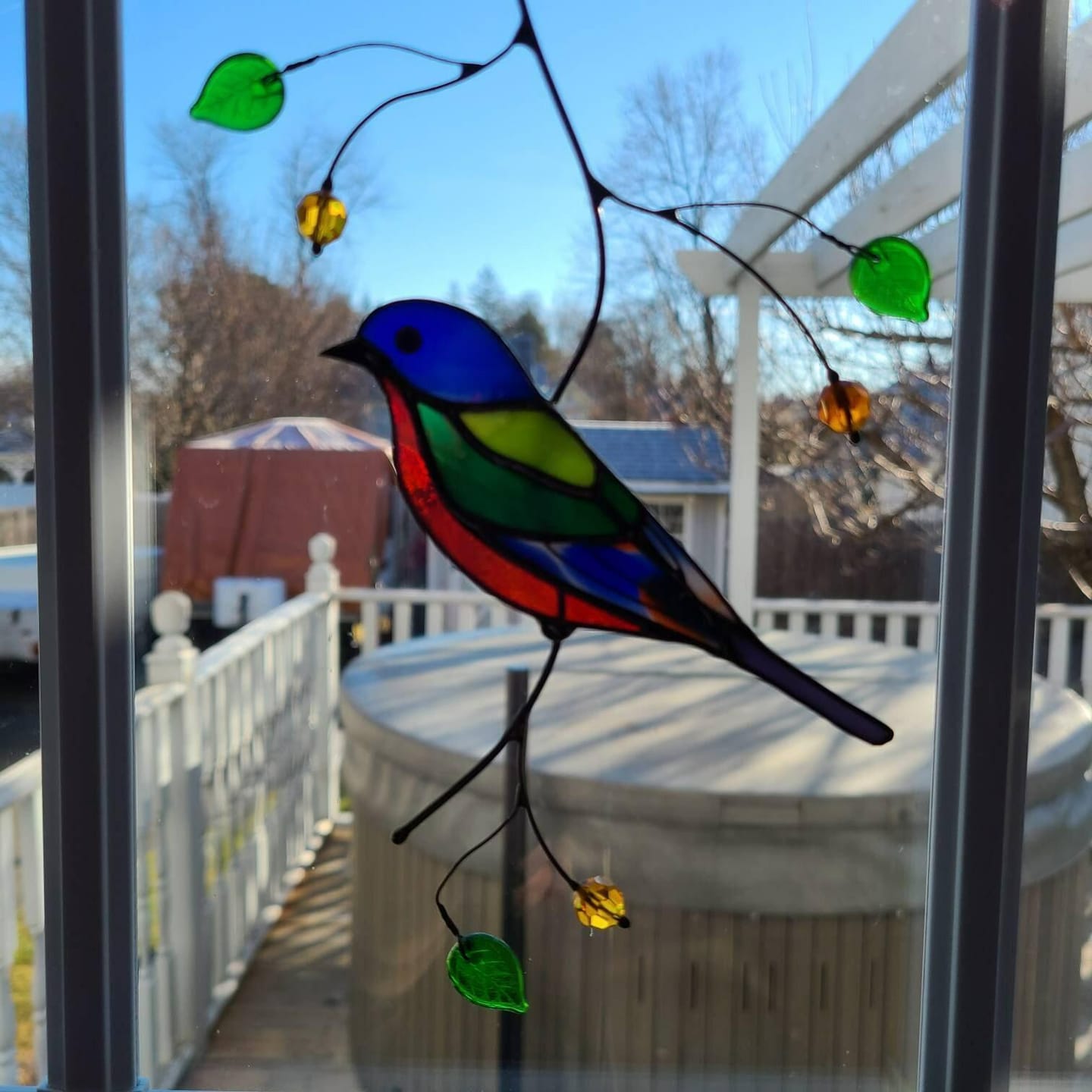 Customer photo review of Painting Bunting Bird