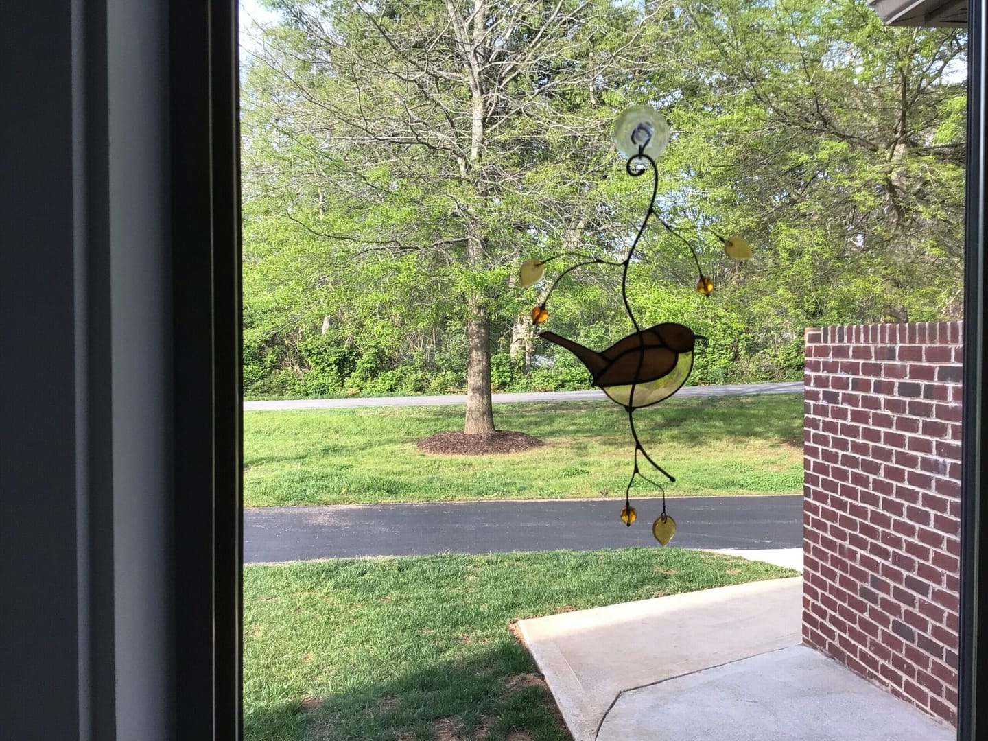 Customer photo review of Chickadee with Berries