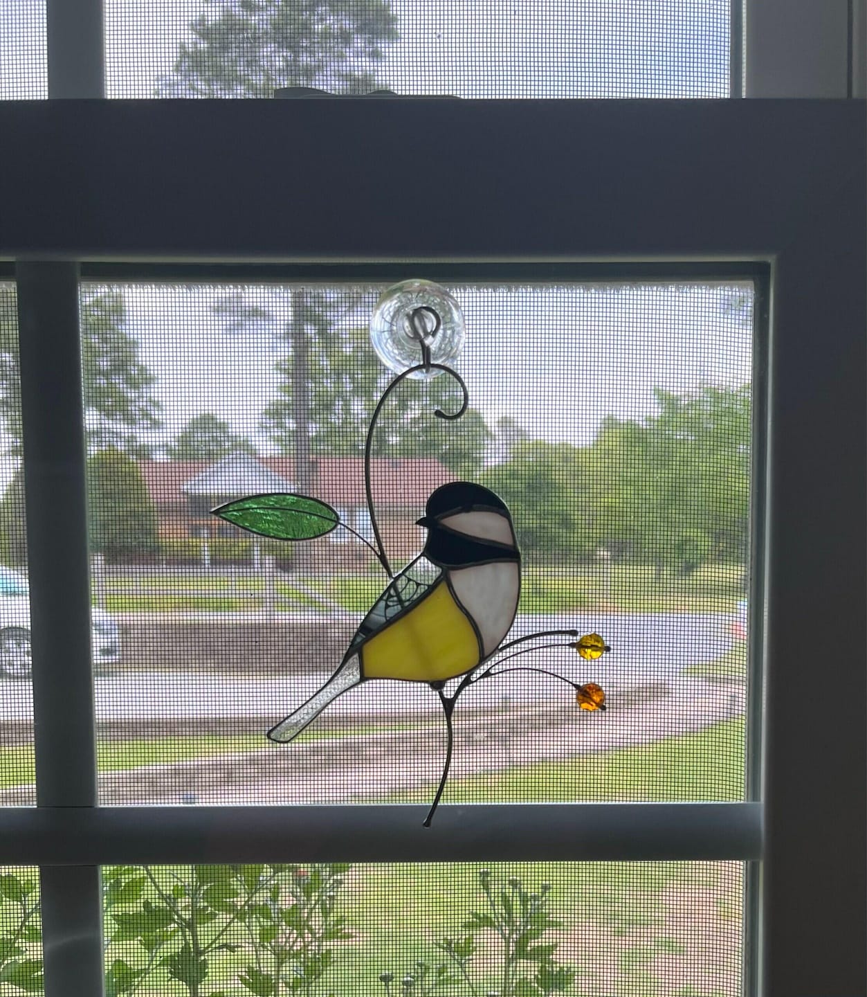 Customer photo review of Chickadee with Berries