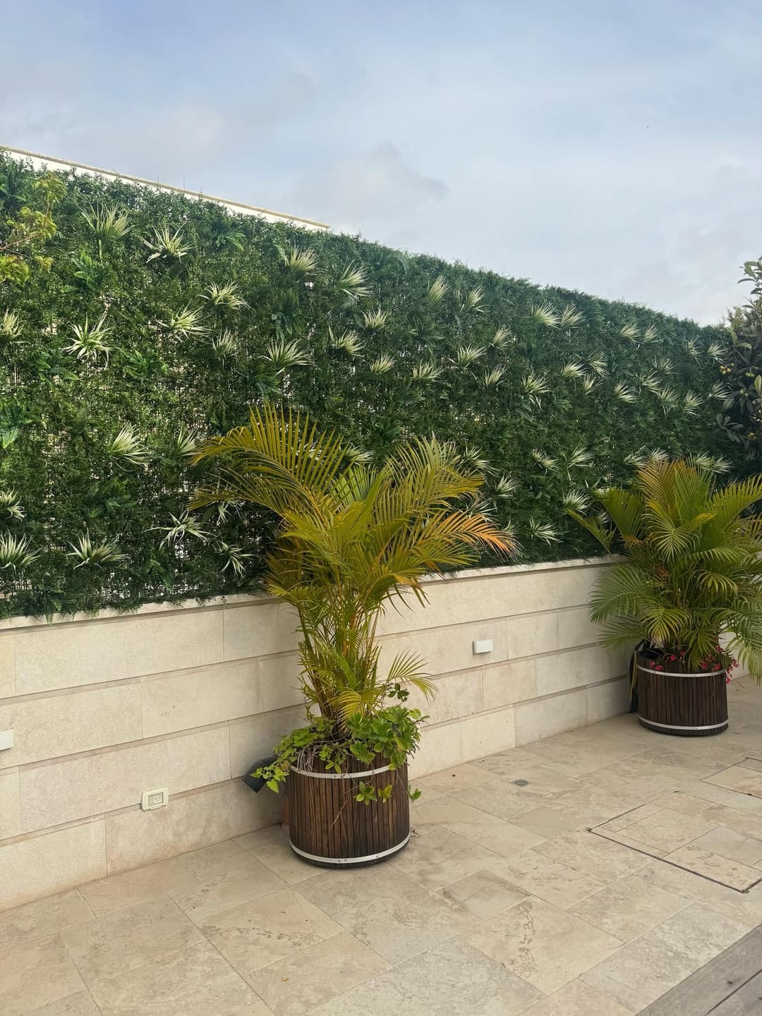 Customer photo review of צמחיה מסתורית 100x100 ס"מ