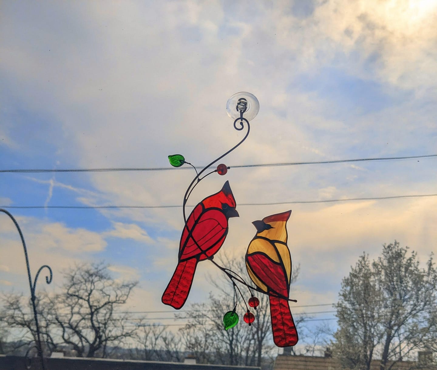 Customer photo review of Hugging Red Cardinals