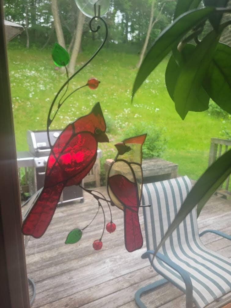 Customer photo review of Hugging Red Cardinals