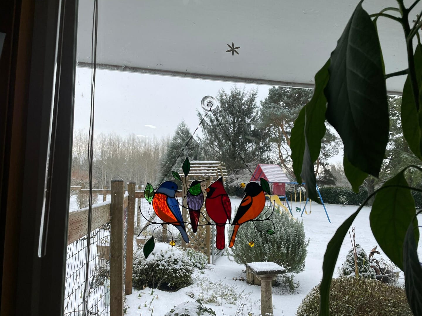 Customer photo review of Four Birds on the Branch