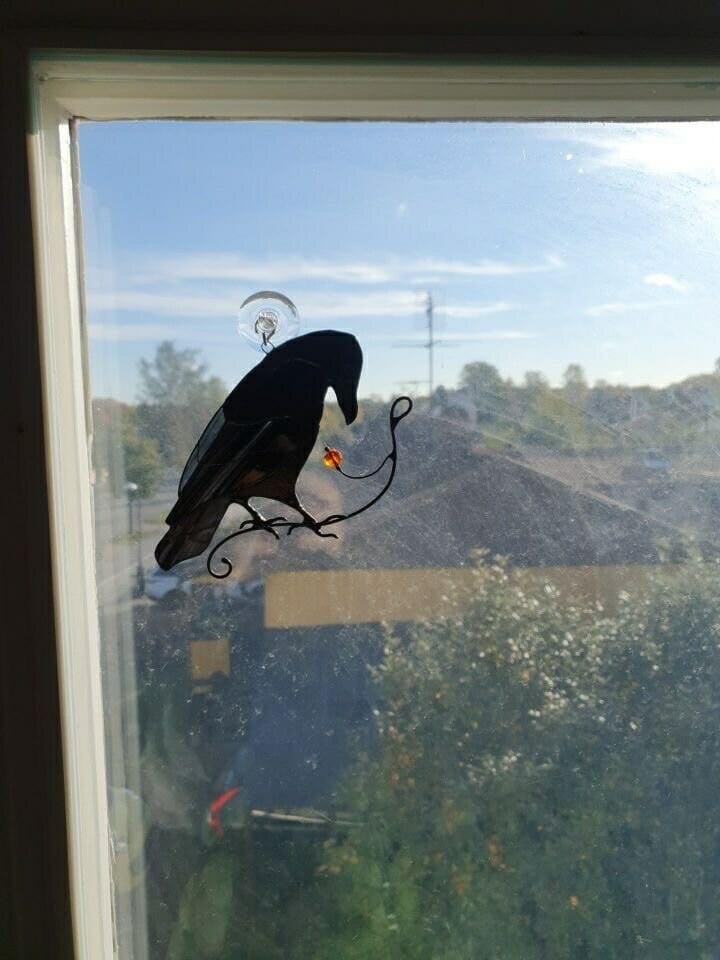 Customer photo review of Raven