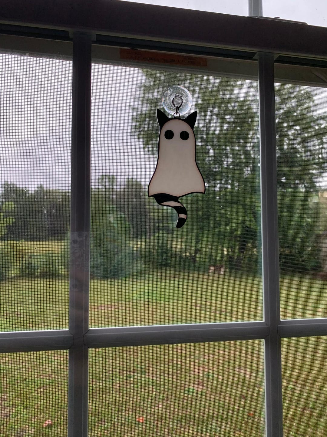Customer photo review of Cat-Ghosts
