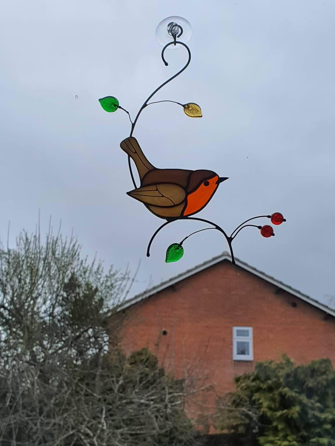 Customer photo review of Robin Bird on the Branch with Leaves