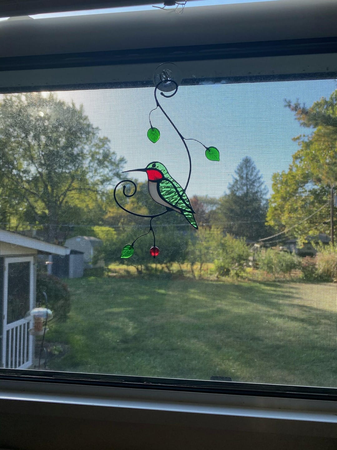 Customer photo review of Green Ruby-throated Hummingbird window hanging