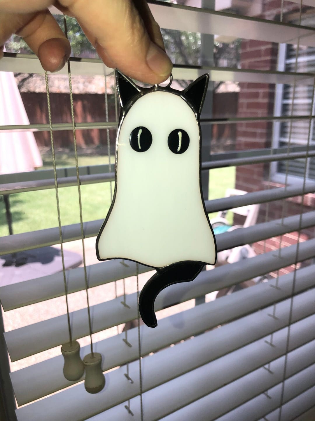 Customer photo review of Cat-Ghosts