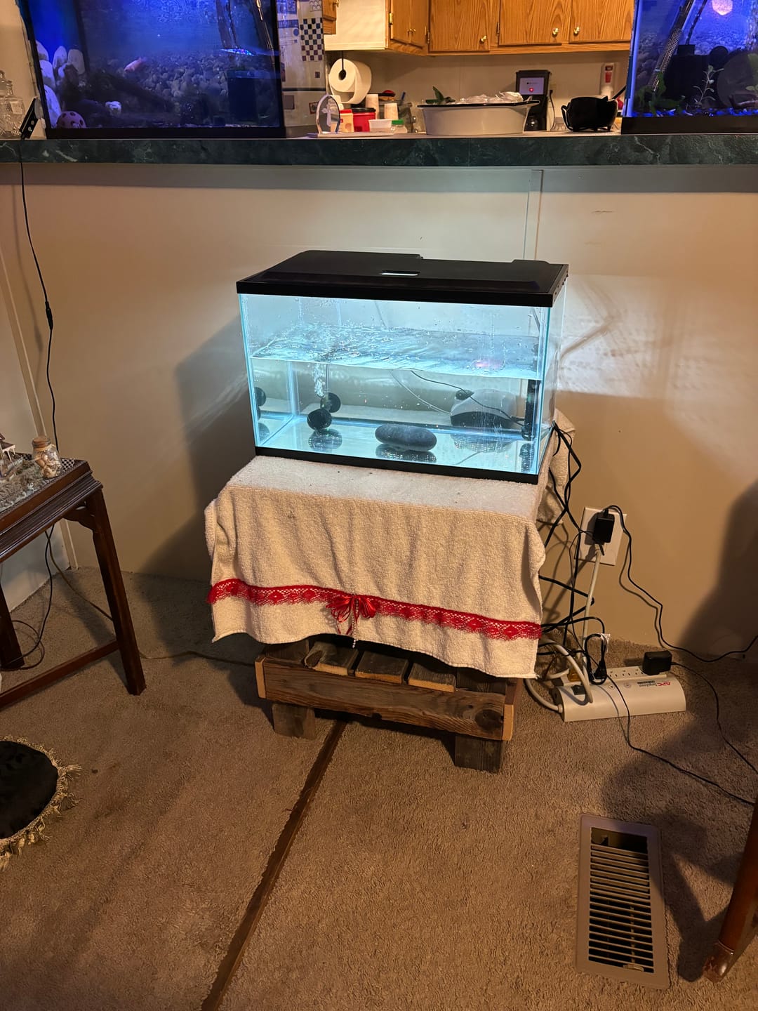 Customer photo review of BREZA Fusion Air Pump from Aquatop