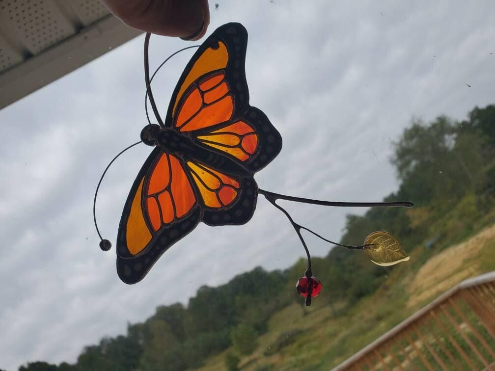Customer photo review of Monarch Butterfly Top View