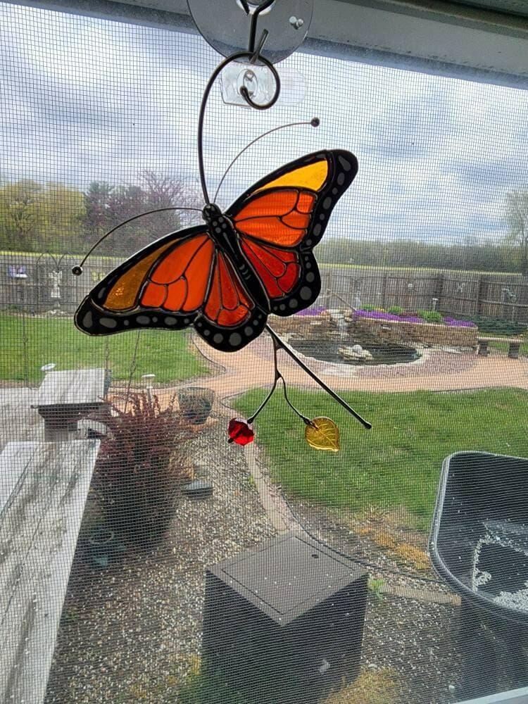 Customer photo review of Monarch Butterfly Top View