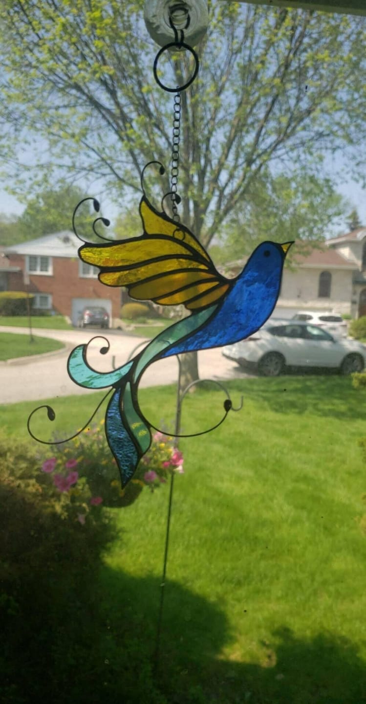 Customer photo review of Bird in UA colors
