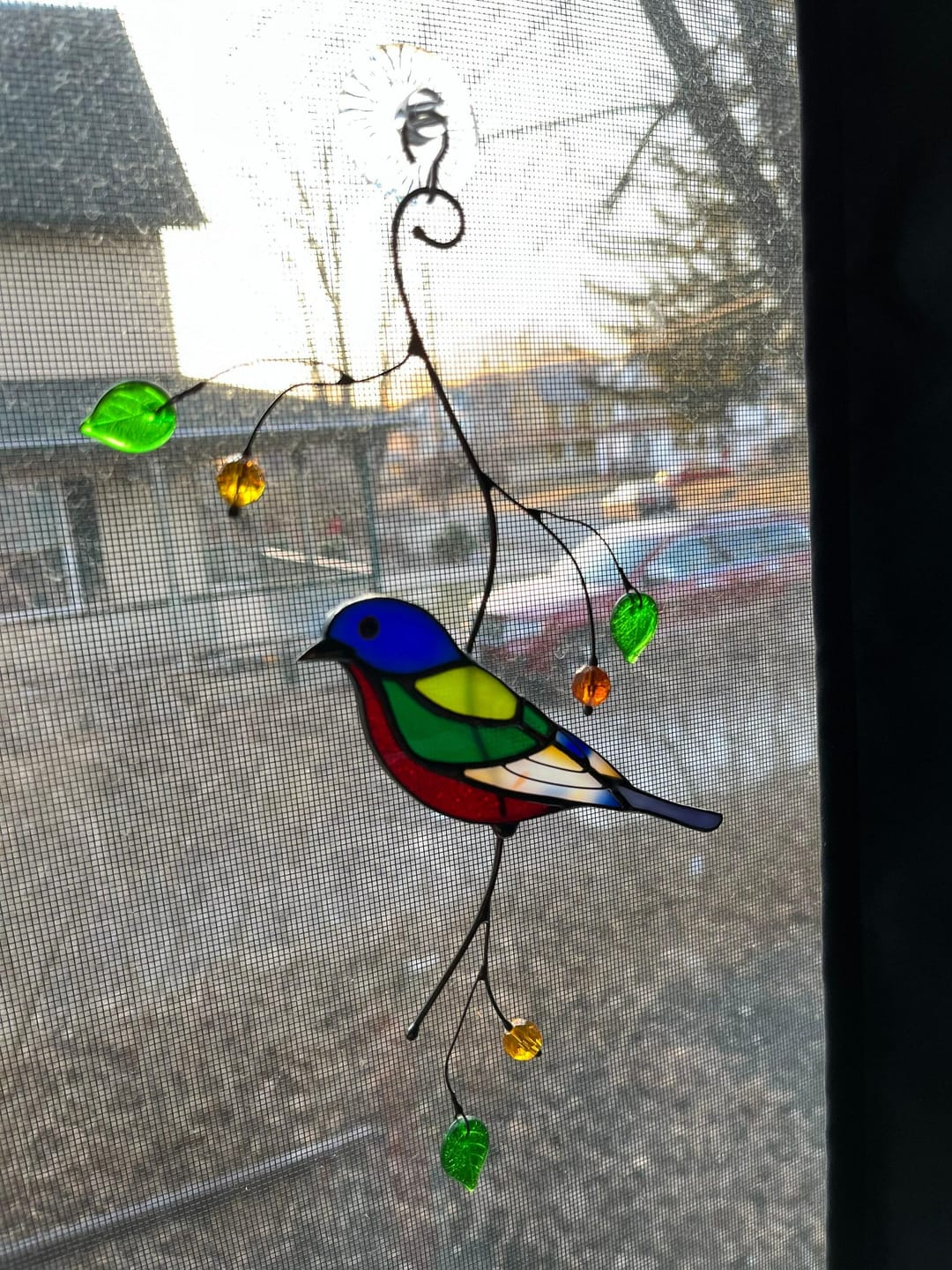 Customer photo review of Painting Bunting Bird