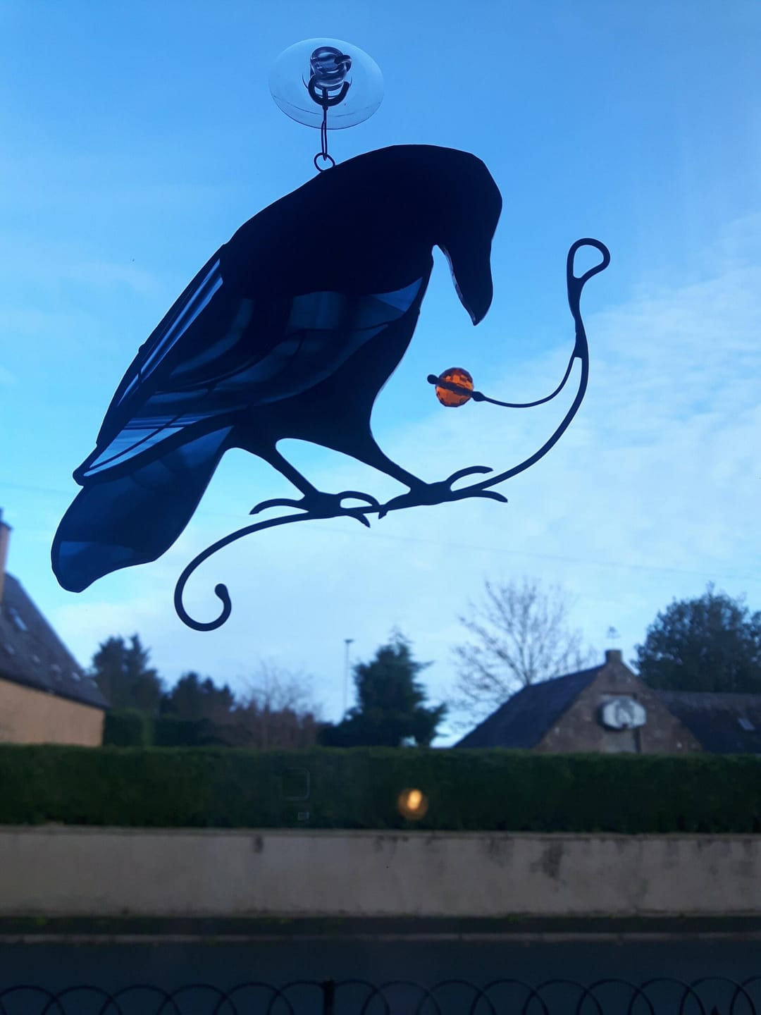 Customer photo review of Raven