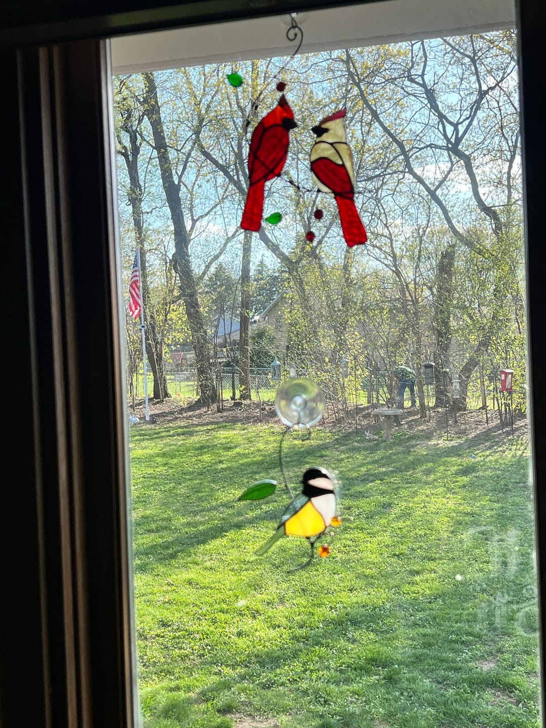 Customer photo review of Chickadee with Berries