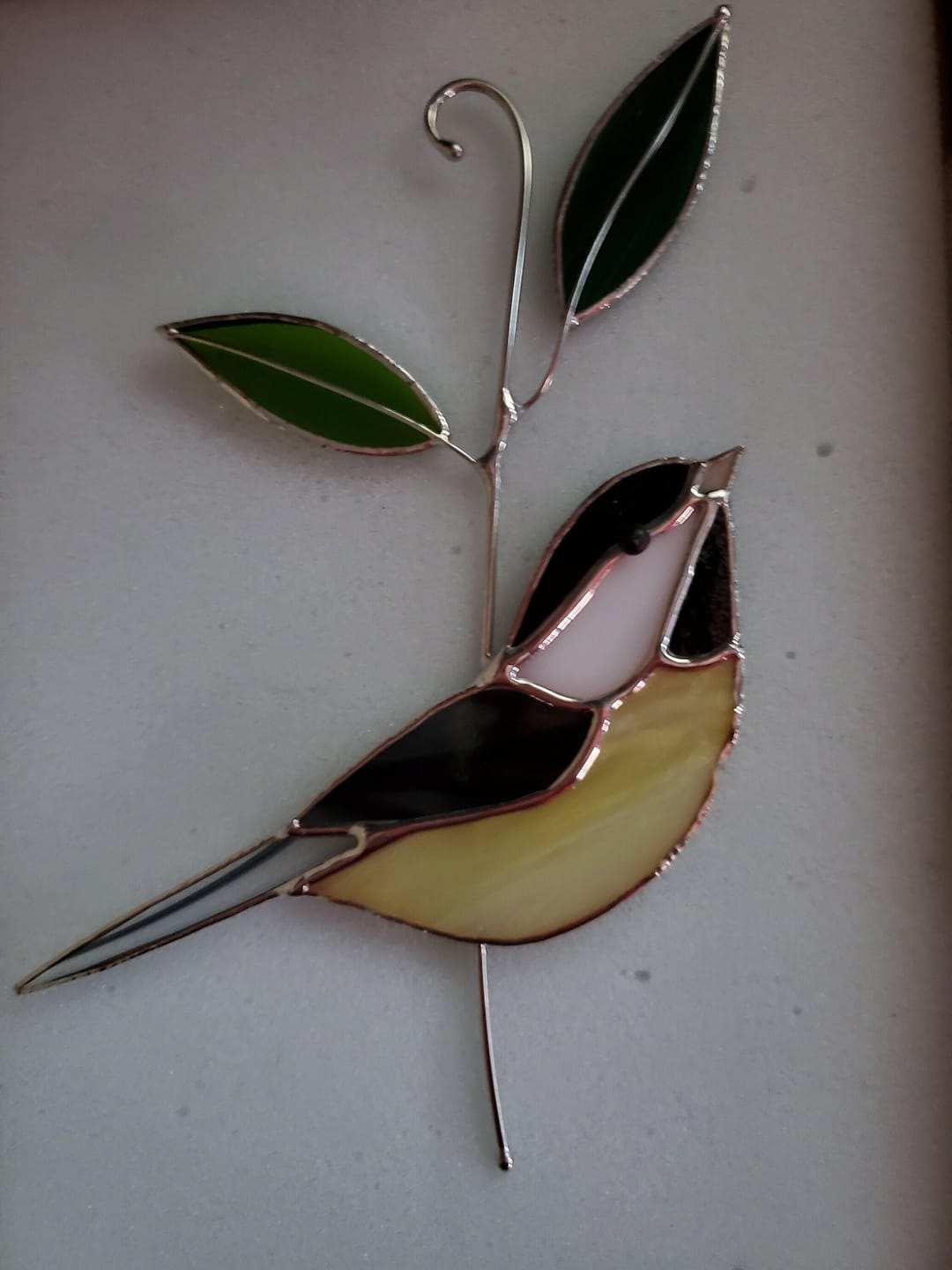 Customer photo review of Black-capped Chickadee