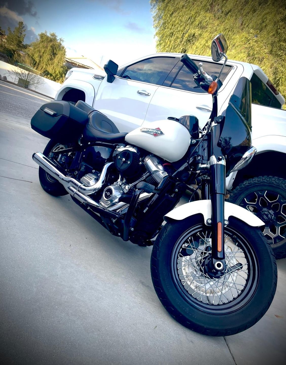 Customer photo review of 32L - Darkin Large Quick Mount Leather Wrapped Hard Saddlebags for Harley Softail Slim FLSL