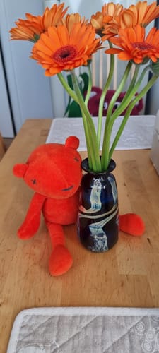 Customer photo review of JERMAINE, l’OURSON - PETIT