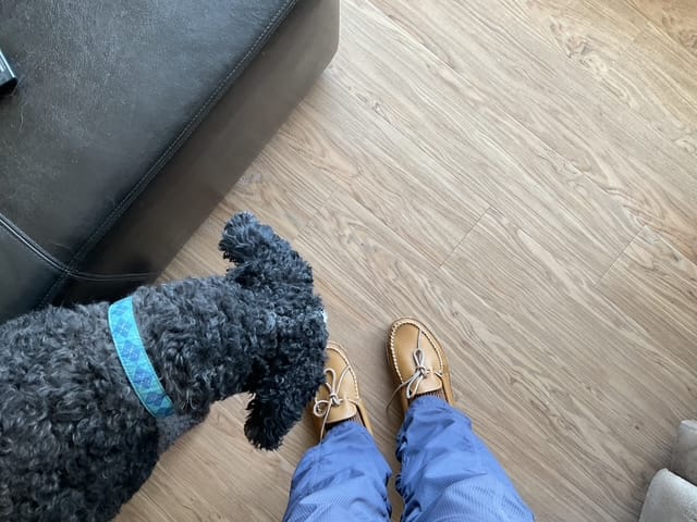 Customer photo review of Women's Soft Sole Leather Moccasins