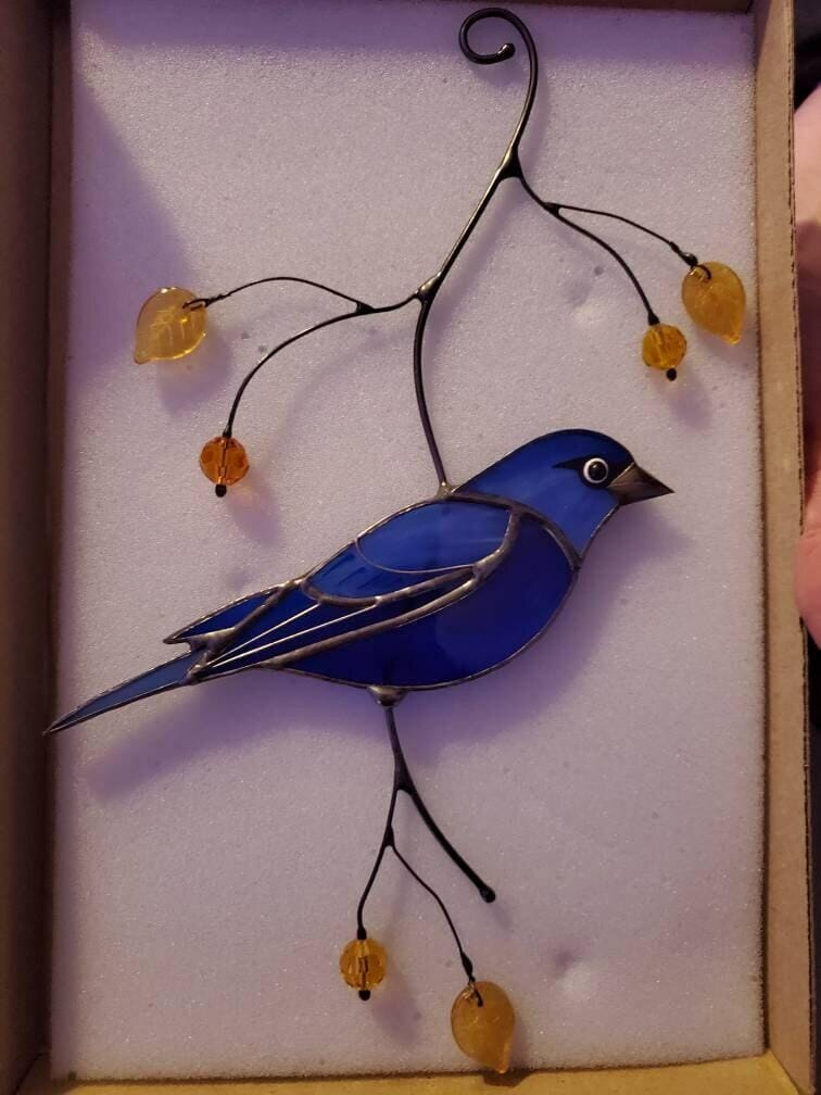 Customer photo review of Indigo Bunting Bird