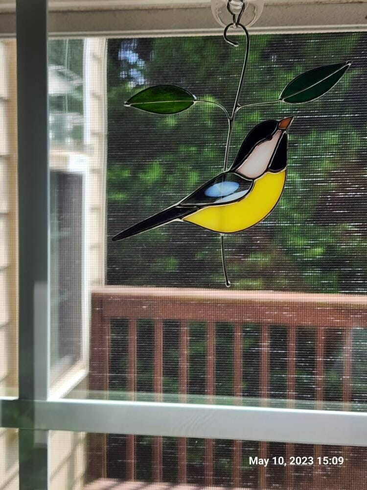 Customer photo review of Black-capped Chickadee