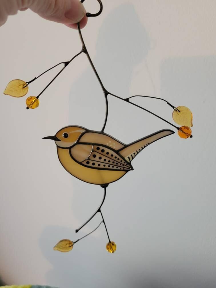 Customer photo review of Carolina Wren