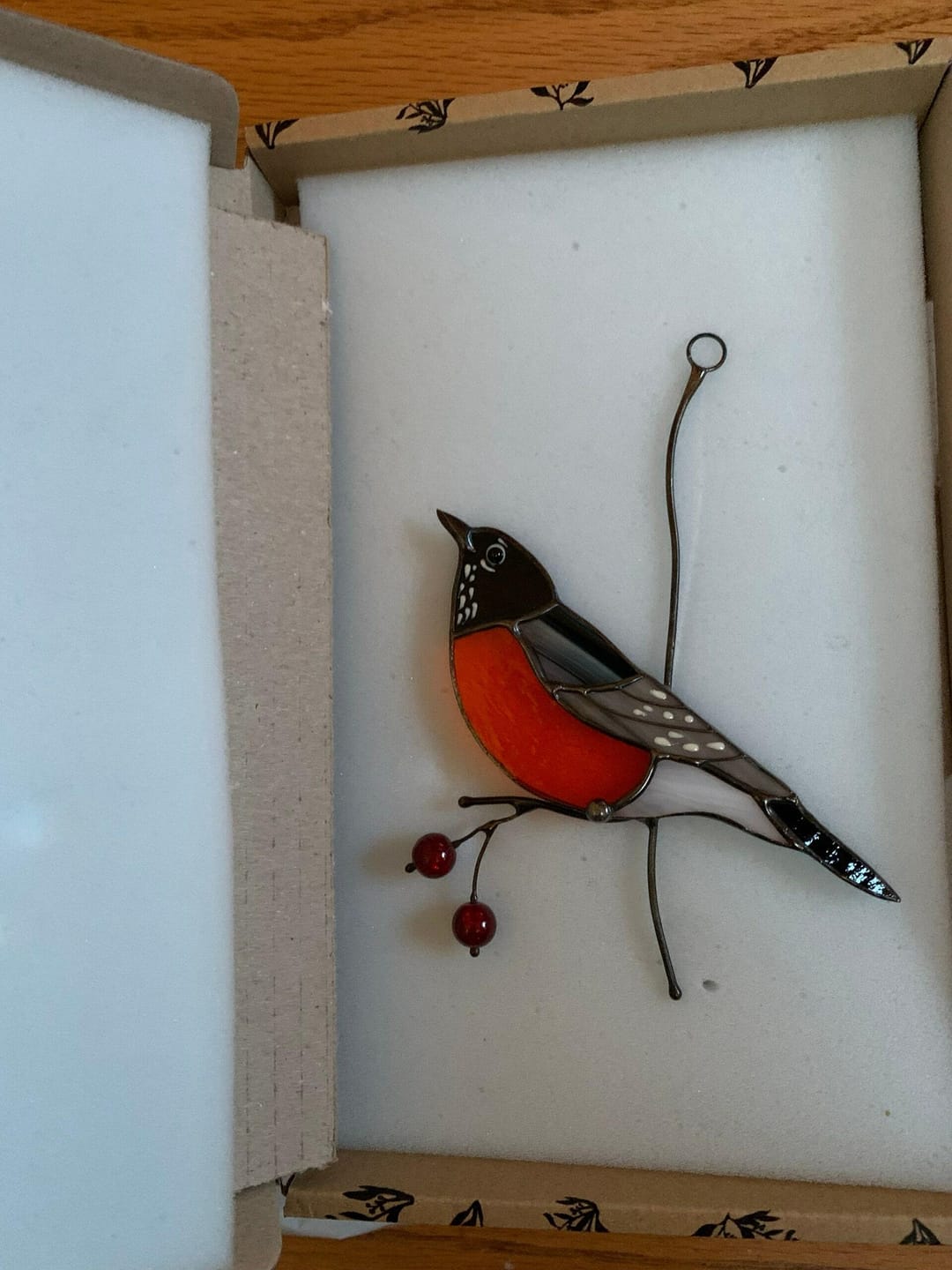 Customer photo review of American Robin Bird