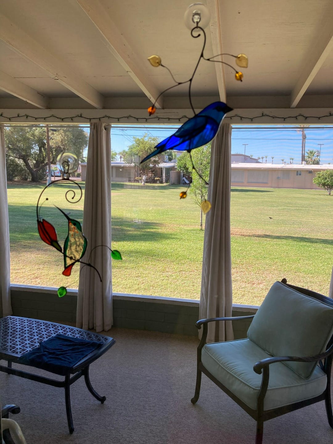 Customer photo review of Indigo Bunting Bird