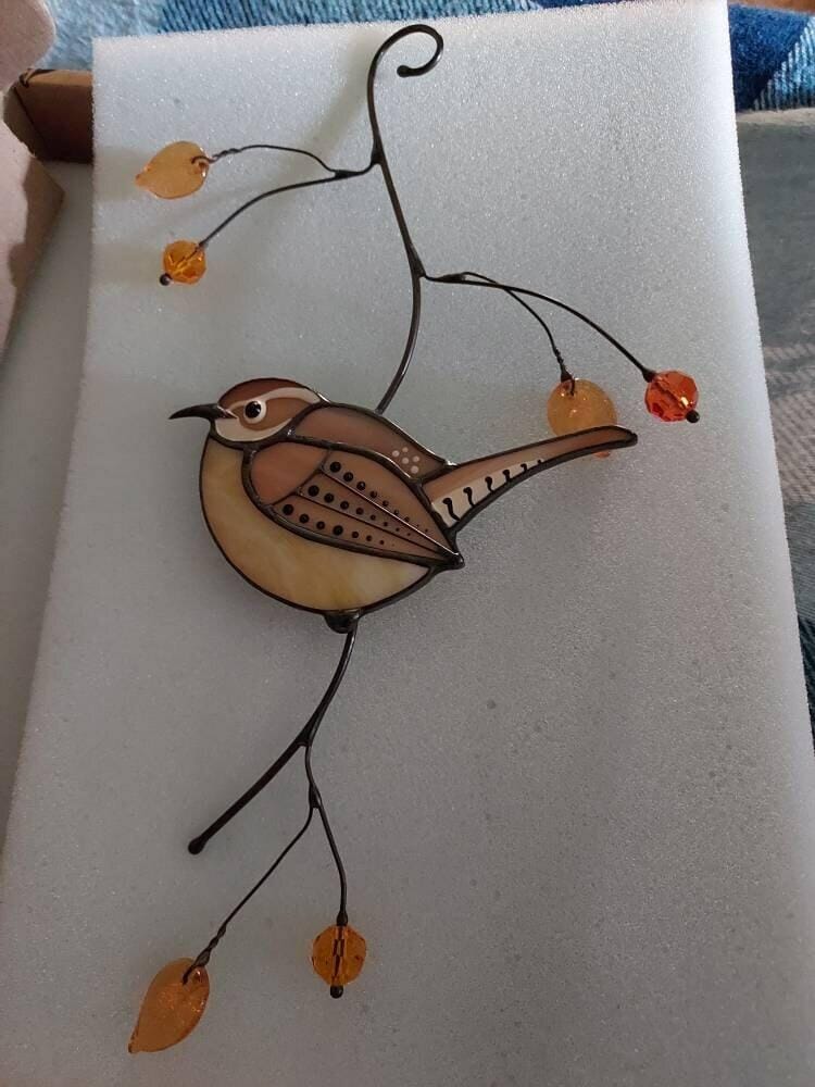 Customer photo review of Carolina Wren
