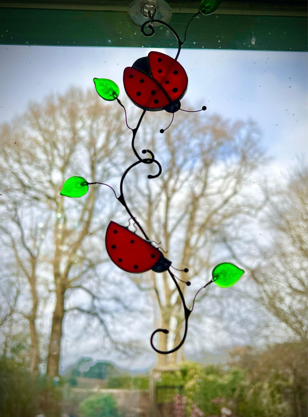 Customer photo review of Red Ladybug Suncatcher