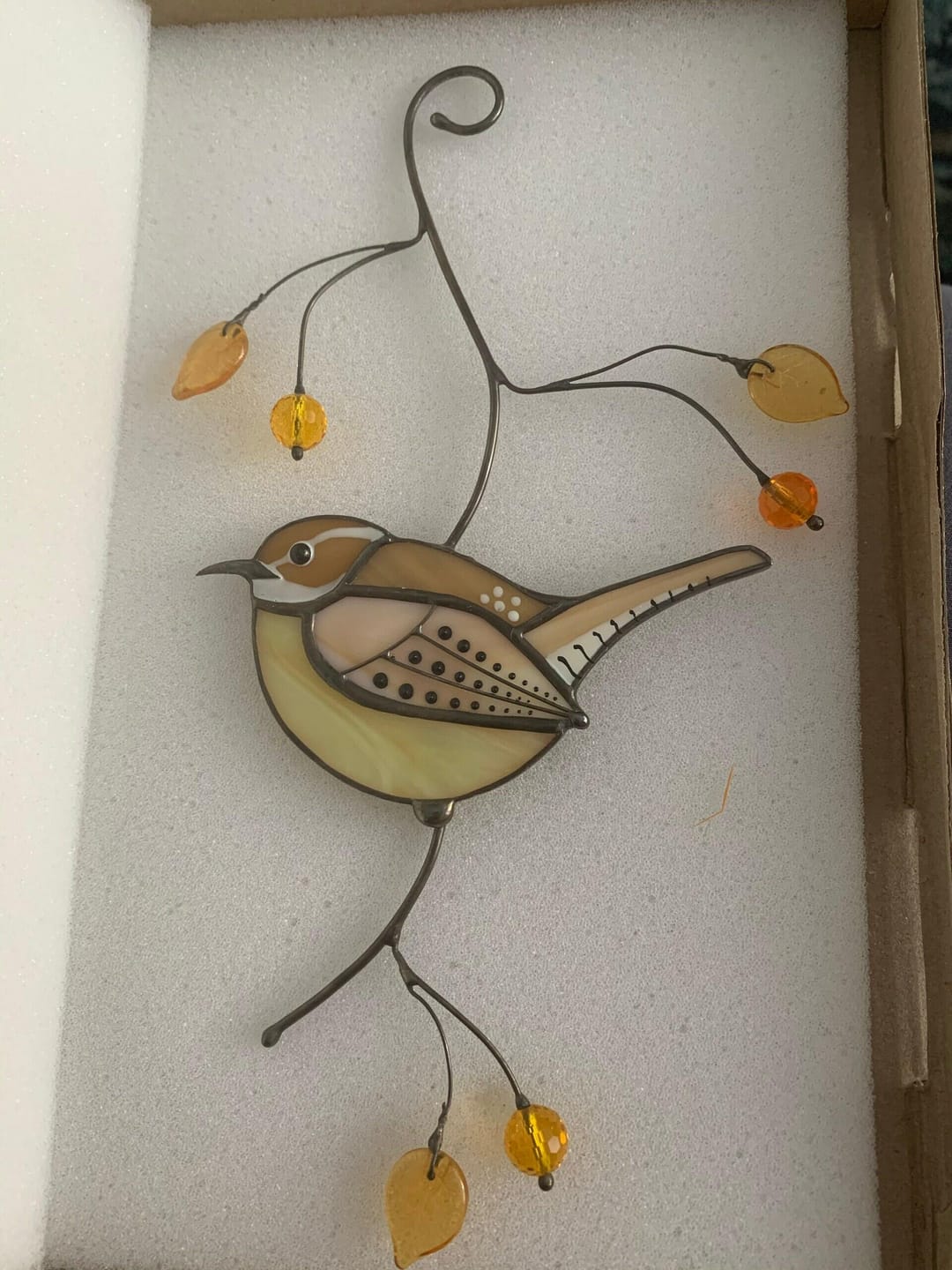 Customer photo review of Carolina Wren
