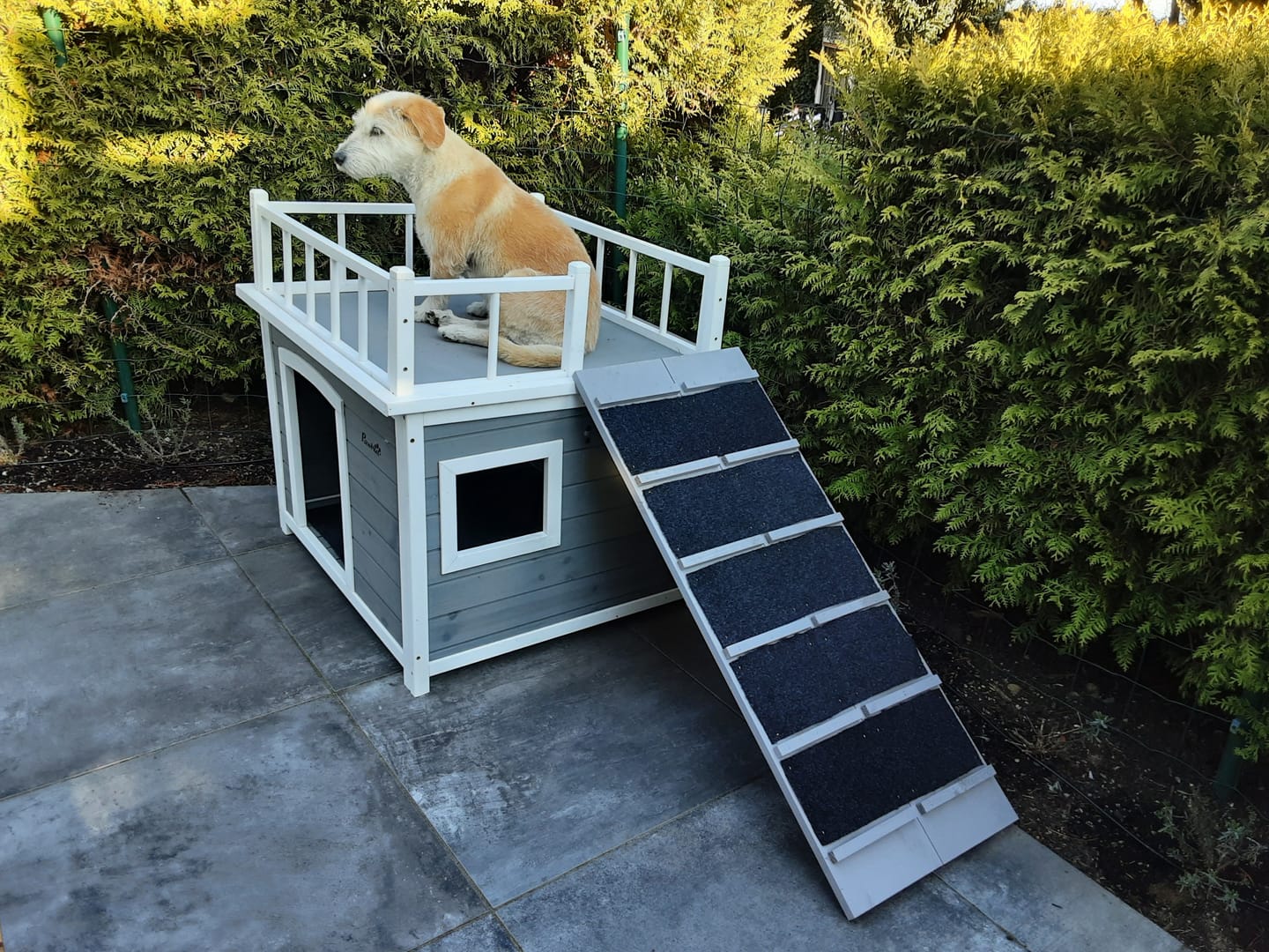 Customer photo review of Elmato Katzentreppe lackiert – wetterfest 1-4 Meter, verschiedene Größen
