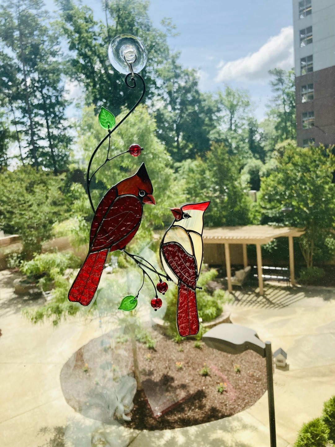 Customer photo review of Hugging Red Cardinals