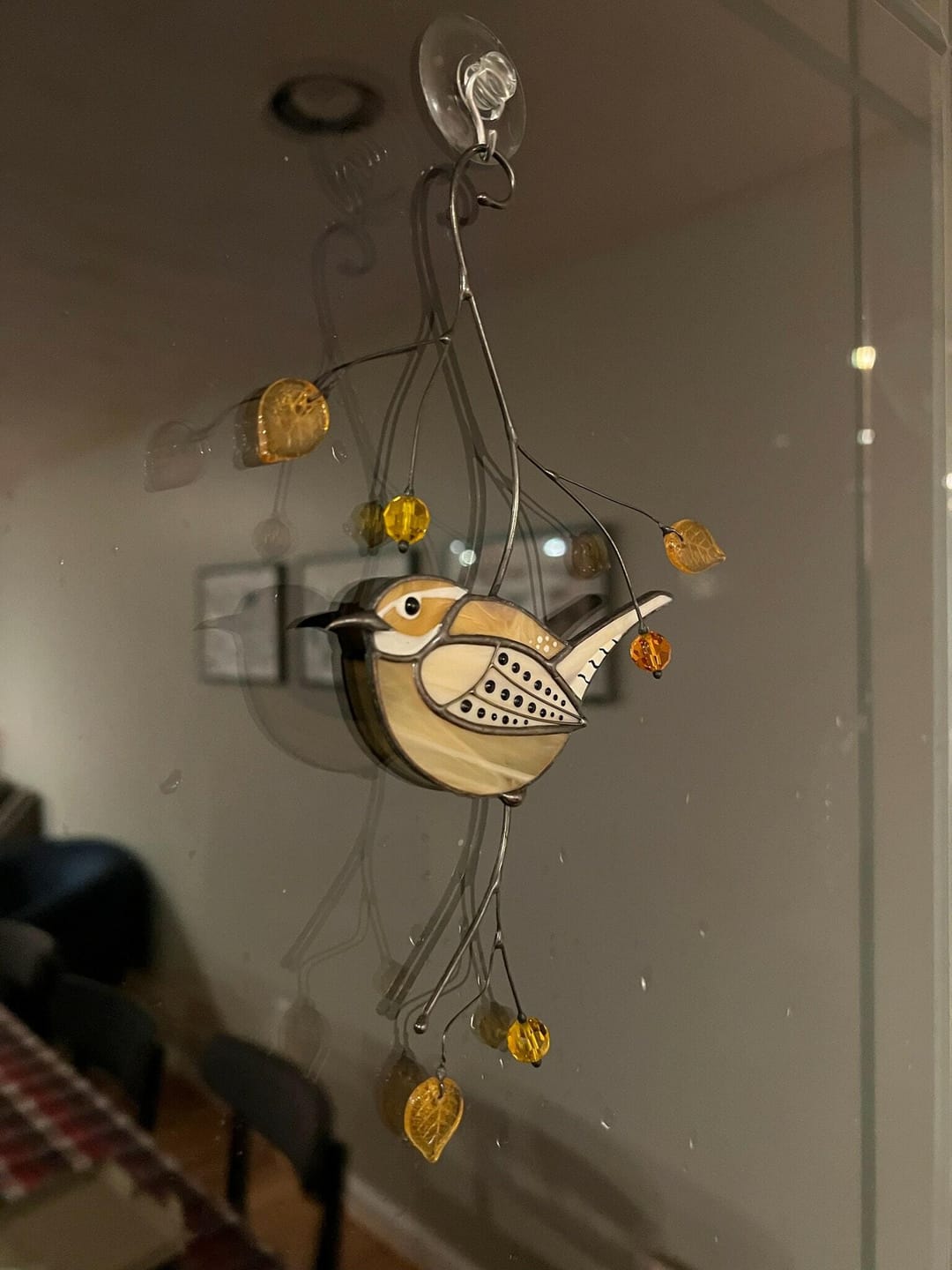 Customer photo review of Carolina Wren