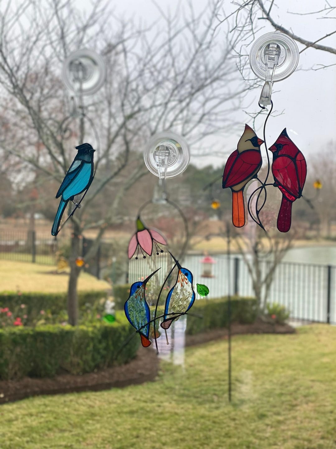 Customer photo review of Steller Jay Suncatcher