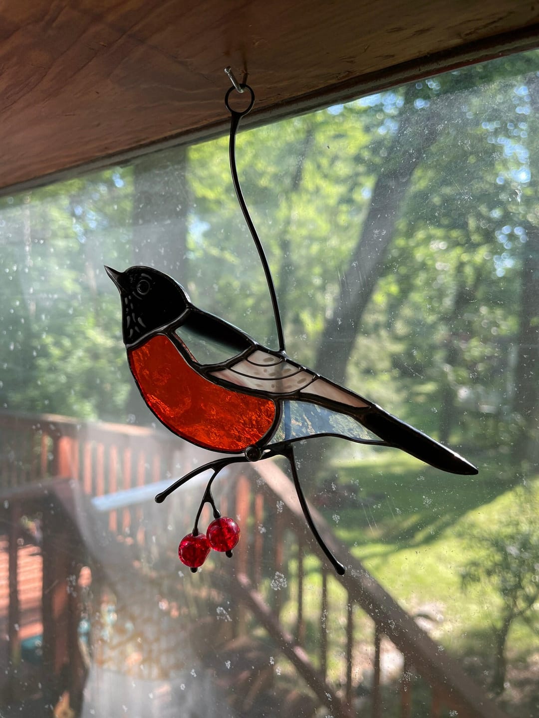 Customer photo review of American Robin Bird