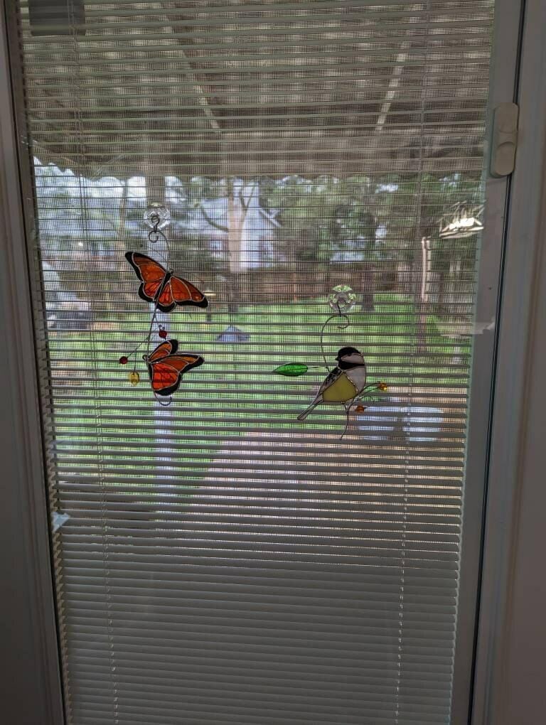 Customer photo review of Chickadee with Berries