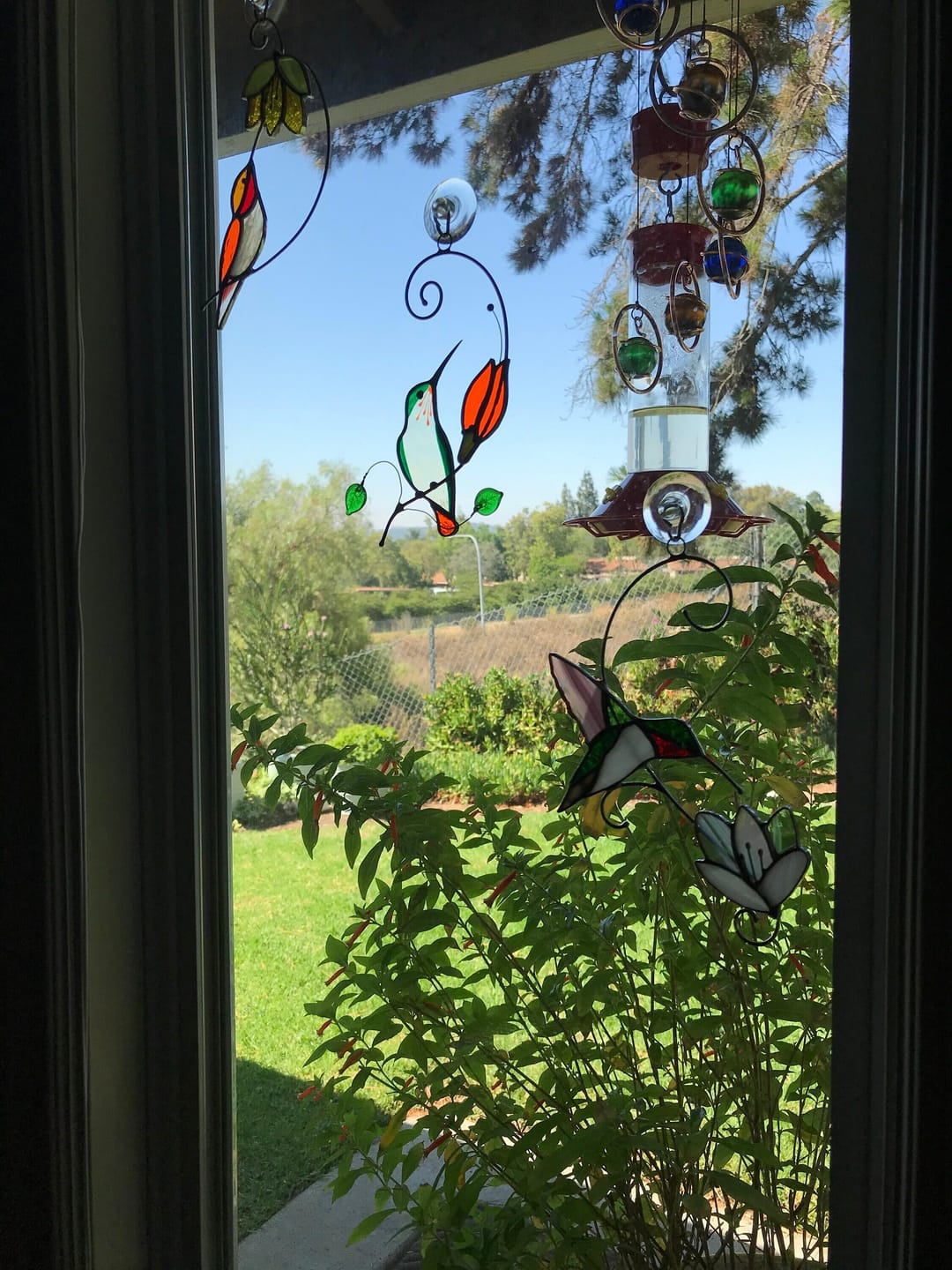 Customer photo review of Ruby-throated Hummingbird with the Flower