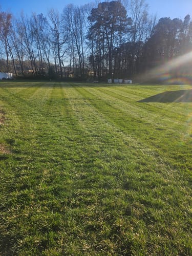 Customer photo review of OII-YS Natural Adjuvant