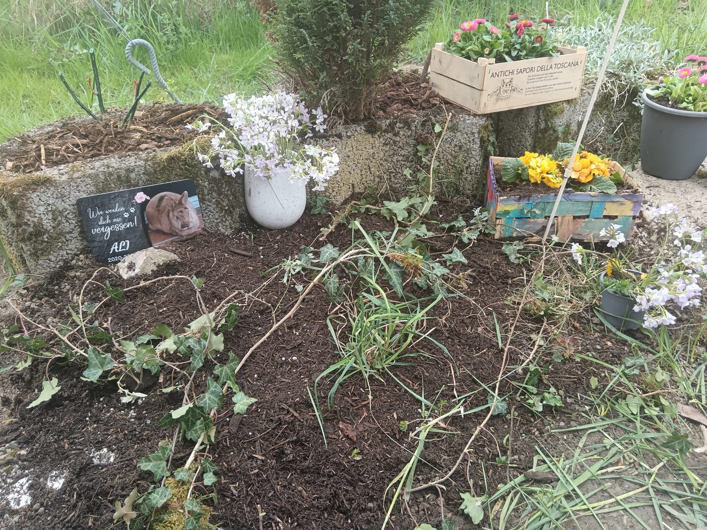 Customer photo review of Kaninchen Gedenktafel mit Foto & Spruch (UV- & Wetterfest)