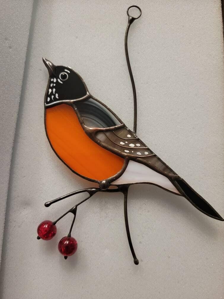 Customer photo review of American Robin Bird