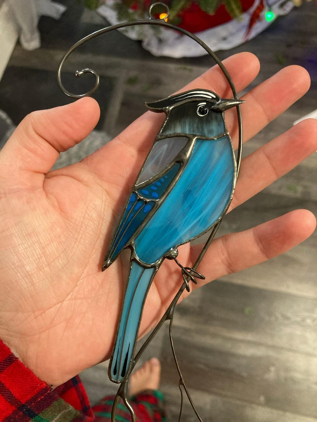Customer photo review of Steller Jay Suncatcher