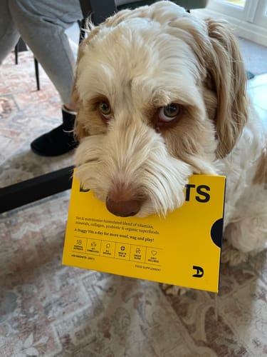 Ronnie with his Doggy Vits box